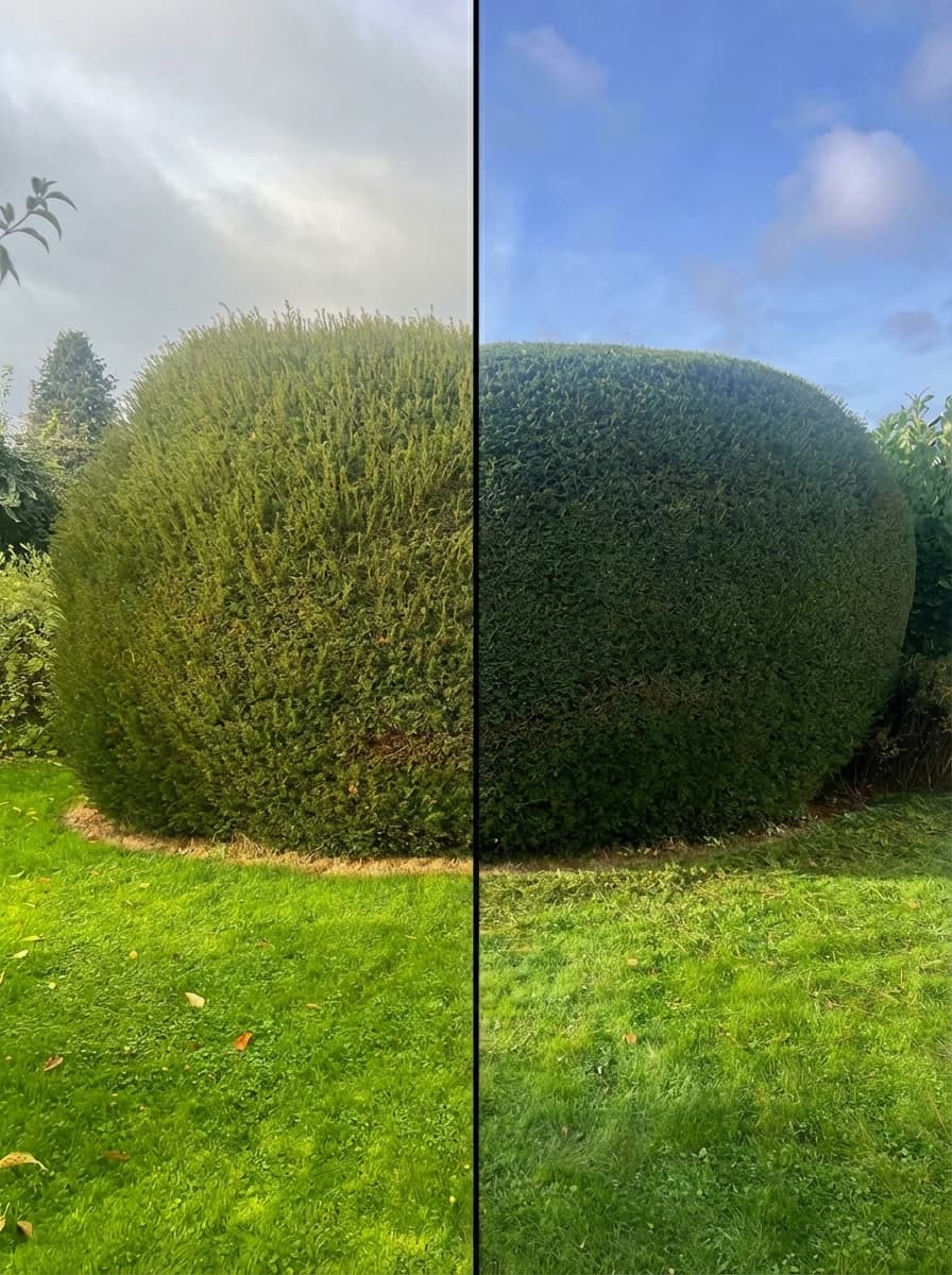 Vorher und nachher Transformation 1