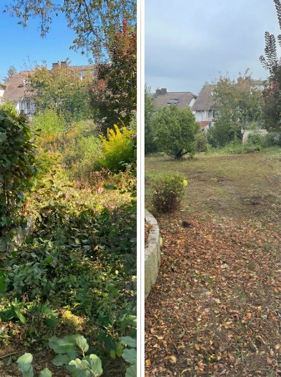 Vorher und nachher Transformation 3