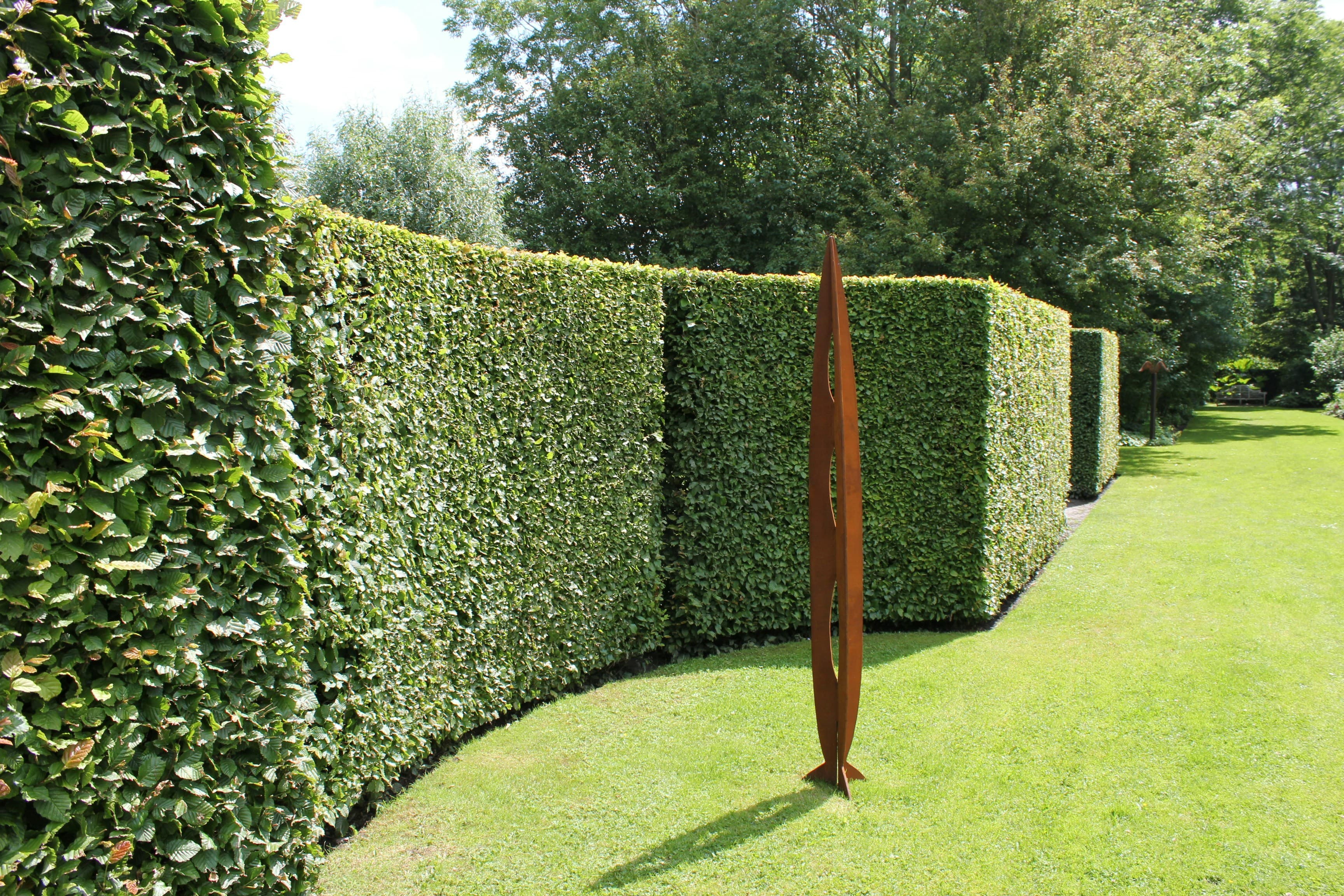 Gepflegter Garten von Alex's Gartenservice